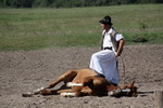 ungarische Pferdedresur